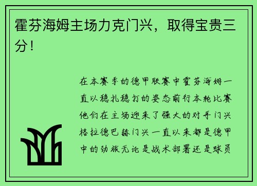 霍芬海姆主场力克门兴，取得宝贵三分！